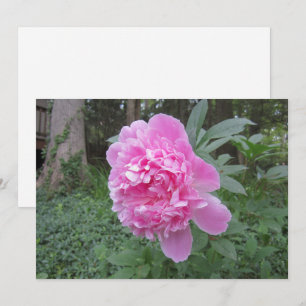 Peony Flat Holiday Card Feiertagskarte