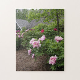 Peony Garden