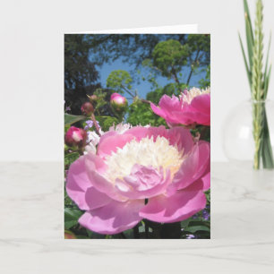 Peony-Geburtstagkarte Karte