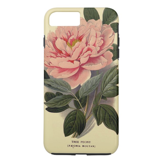 Peony iPhone 7 Plus, Tough Case-Mate iPhone Hülle (Rückseite)