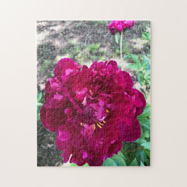 Peony Jigsaw Puzzle (Vertikal)