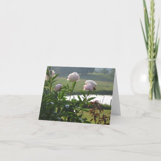 Peony Notecard Karte (Vorderseite)