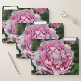 Peony Papiermappe