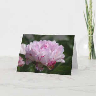 Peony "Petit Elegance" Karte
