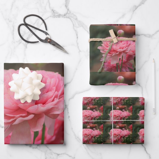 Peony Pink Ranunculus Closeup Geschenkpapier Set (Vorderseite)