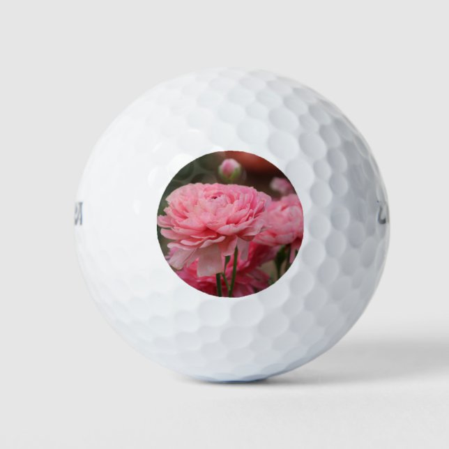 Peony Pink Ranunculus Closeup Golfball (Vorderseite)