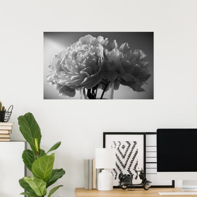 Peony, Poster (Heimbüro)