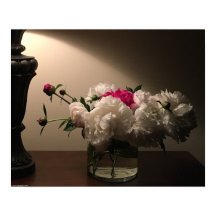 Peony,