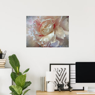 Peony, Poster