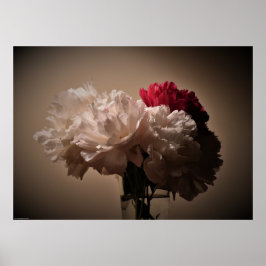 Peony, Poster