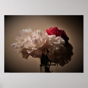 Peony, Poster
