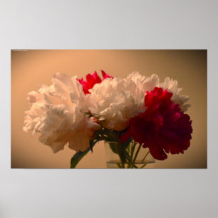 Peony, Poster