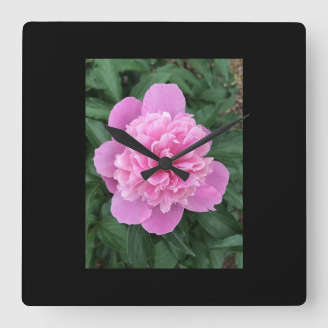 Peony Quadratische Wanduhr (Vorderseite)