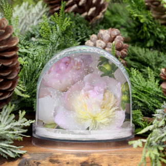 PEONY SNOWGLOBE SCHNEEKUGELN