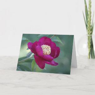 Peony "Sword Dance" Karte