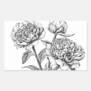 Peony Tinte zeichnend Rechteckiger Aufkleber
