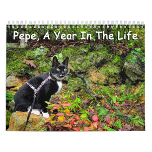 Pepe, Une Année Dans Le Calendrier De Vie
