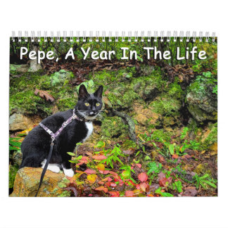 Pepe, Une Année Dans Le Calendrier De Vie