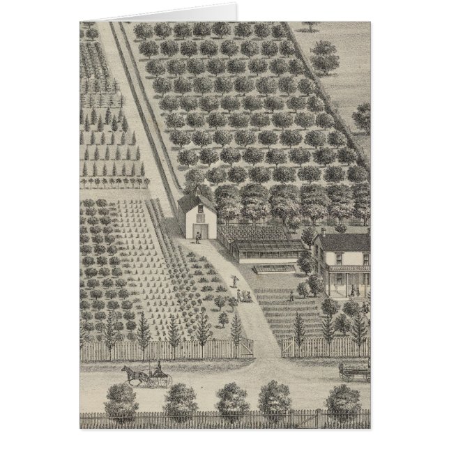 Pépinière de cartes, Woodland (Devant)