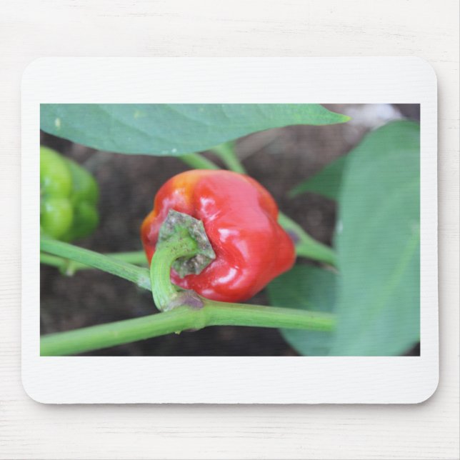 Pepper Garden Mix Mousepad (Vorne)