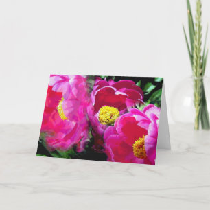 Pepper Magenta Peony Garden Card Karte