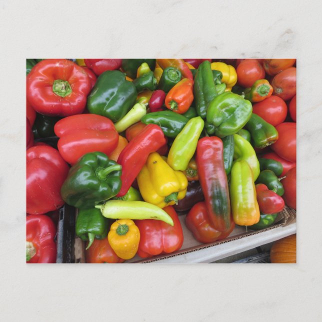Pepper-Sammlung Postkarte (Vorderseite)