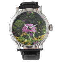 Peppermint Drehung Phlox im Blumengarten