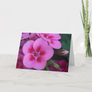 Peppermint Pink Geranium Karte