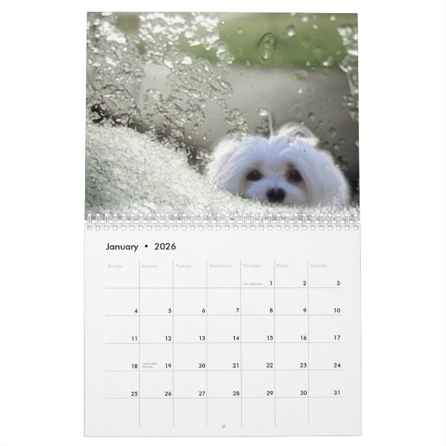 Perce-neige le calendrier maltais (Jan 2026)