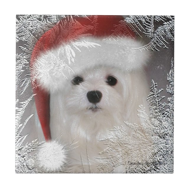 Perce-neige le carreau de céramique décoratif (Devant)