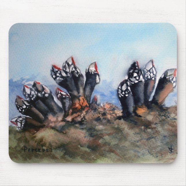 Percebes/Barnacles Mousepad (Vorne)