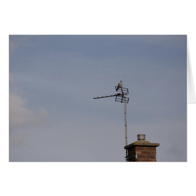 Perche (Devant horizontal)