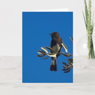 Perched Fly Catcher Karte