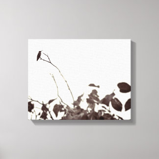 Perched Hummingbird 14x11 Wrapped Canvas Leinwanddruck