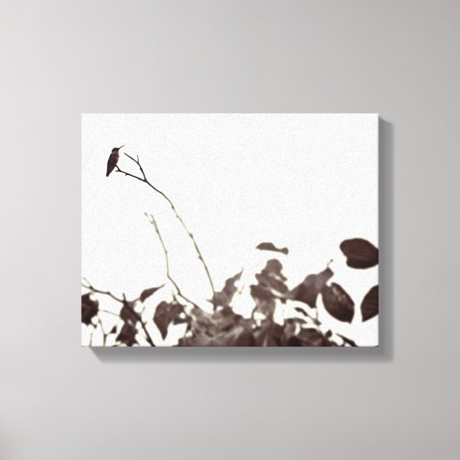 Perched Hummingbird 14x11 Wrapped Canvas Leinwanddruck (Vorderseite)