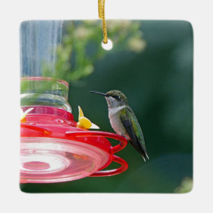 Perched Hummingbird Keramikornament