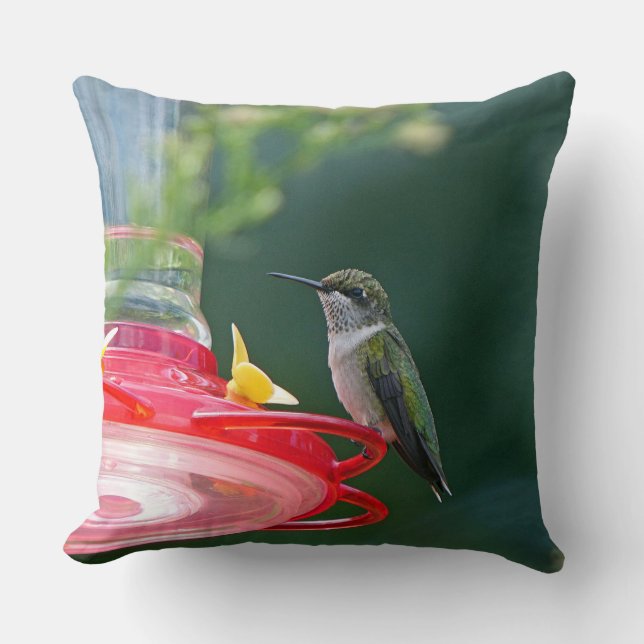 Perched Hummingbird Kissen (Vorderseite)