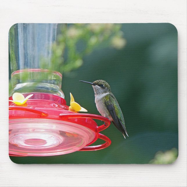 Perched Hummingbird Mousepad (Vorne)