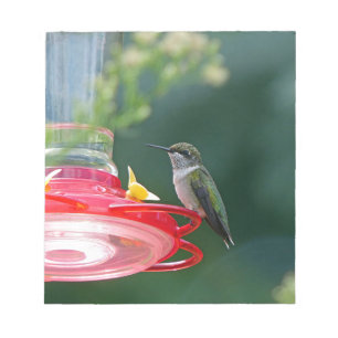 Perched Hummingbird Notizblock