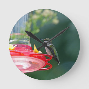 Perched Hummingbird Runde Wanduhr