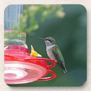 Perched Hummingbird Untersetzer