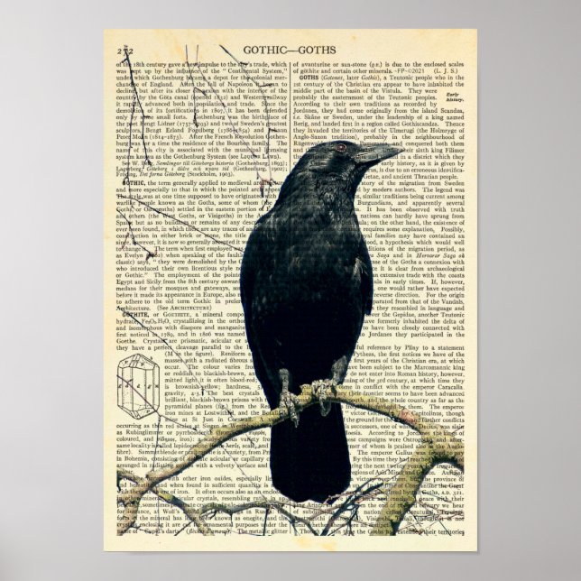 Perched Raven, Crow, Edgar Allan Poe, Gothic Poster (Vorne)