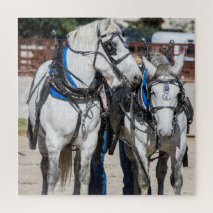 Percheron