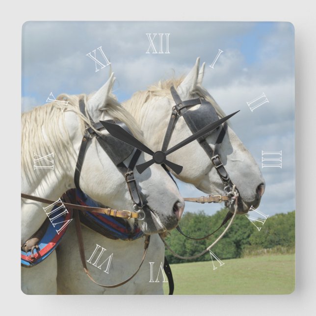 Percheron horses in harness quadratische wanduhr (Vorderseite)