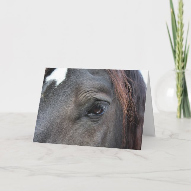 Percheron-Pferdegrüßkarte Karte (Vorderseite)