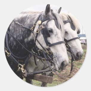 Percheron Tandem Runder Aufkleber