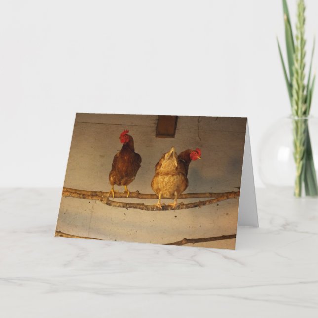 "Perching" - zwei verführerische Hühner in Coop/He Karte (Vorderseite)