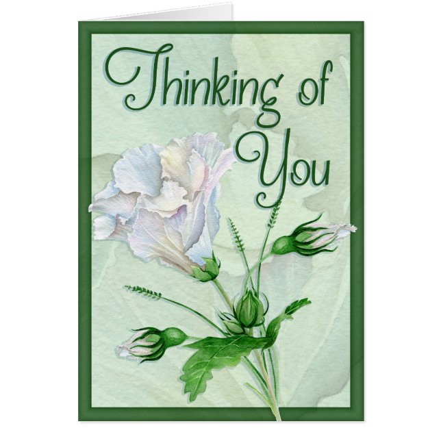 Perdu quelqu'un de précieux (Devant)