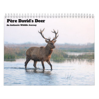 Père-David-Hirsch 2027 Wandkalender