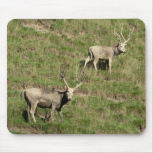 Père David's Reer Mousepad